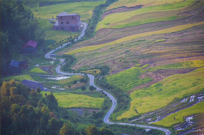 1631164951125431.jpg 图片3.jpg