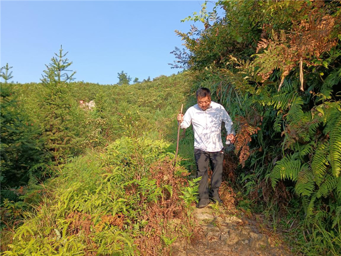 1631165040577595.jpg 图片9.jpg