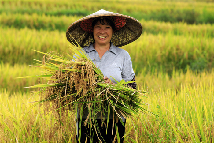 1631165124584856.jpg 图片12.jpg