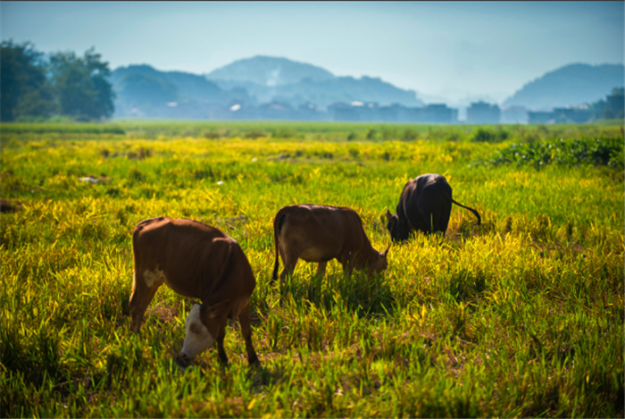 1631165147607702.jpg 图片14.jpg