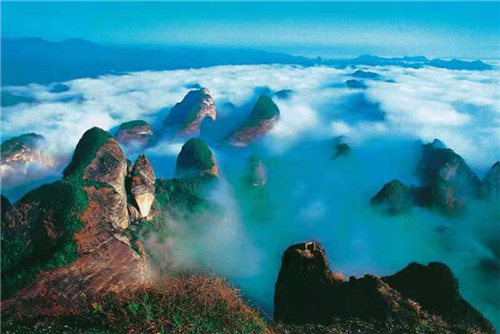 1635833665472181.jpg 微信图片_20211102141004.jpg