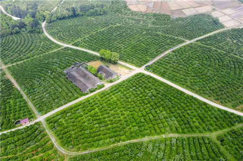 1635833687461243.jpg 微信图片_20211102141018.jpg