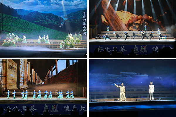 图片7.jpg