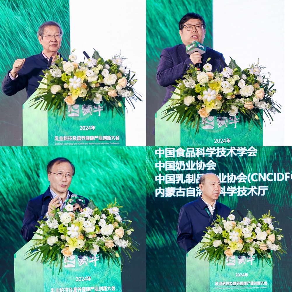 1733709546571567.jpg 7.jpg