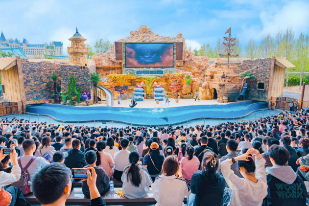 图片 6.png