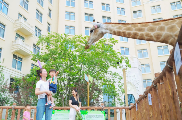 图片 8.png