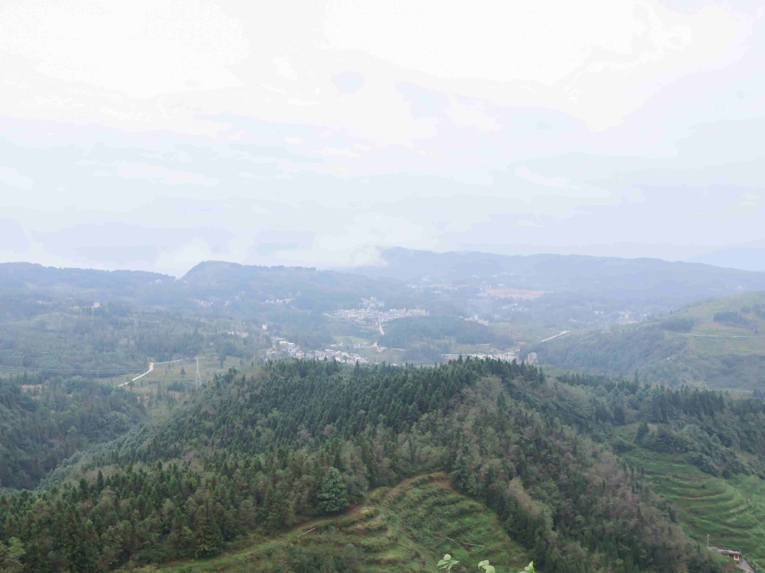 1761529316294289.jpg 图片42.jpg