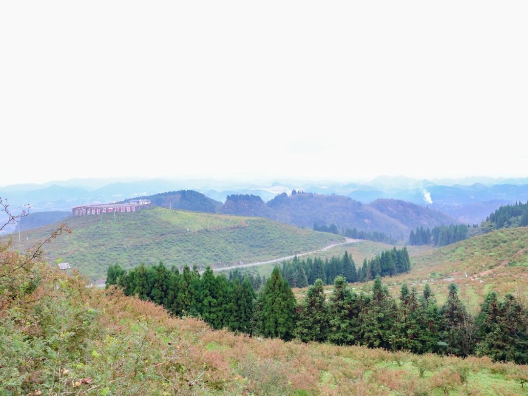 1761529337631261.jpg 图片43.jpg