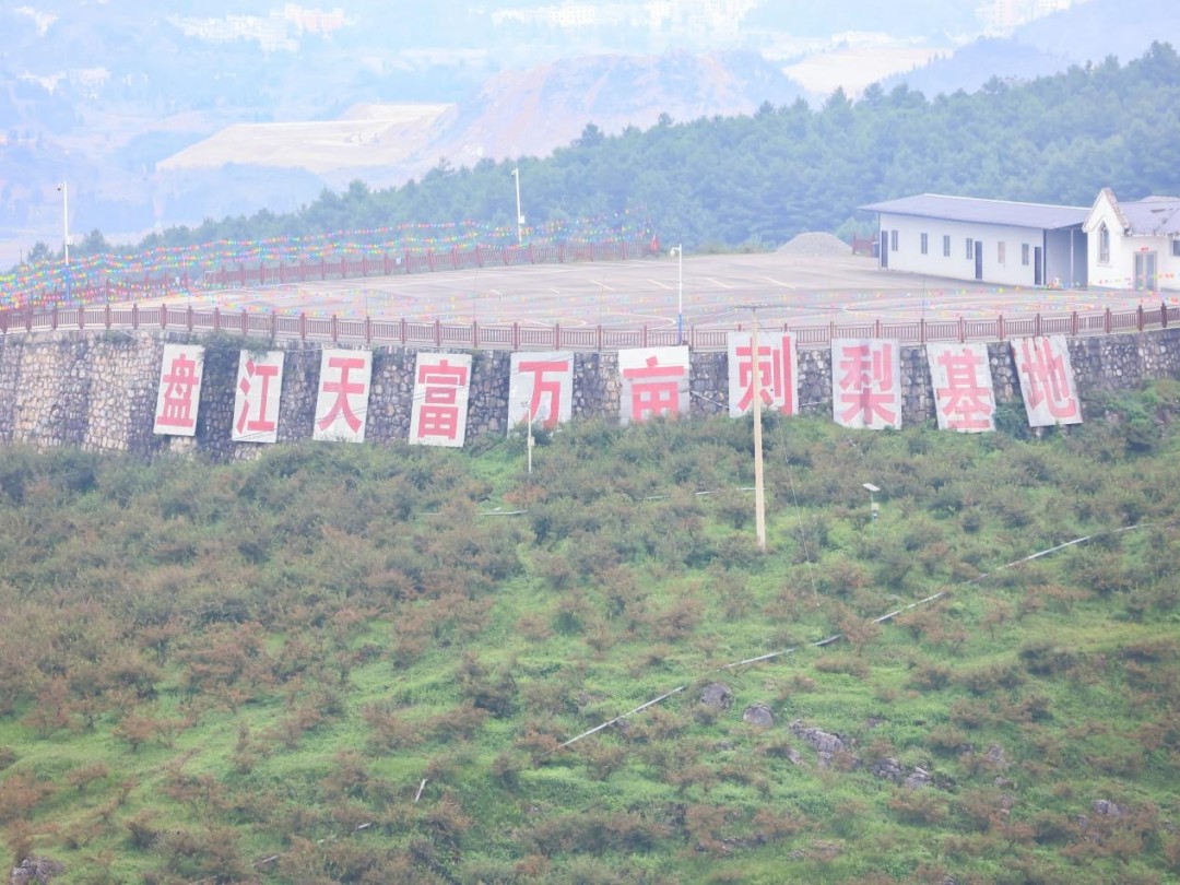 1761529573175246.jpg 图片47.jpg