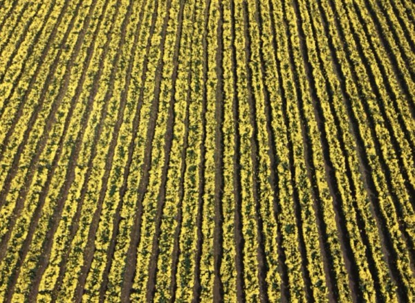 1761878132926918.jpg 图片1(3).jpg