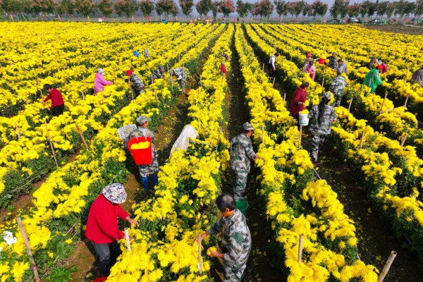 1761878140284484.jpg 图片1(4).jpg