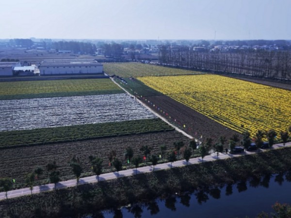 1761878149998389.jpg 图片1(5).jpg