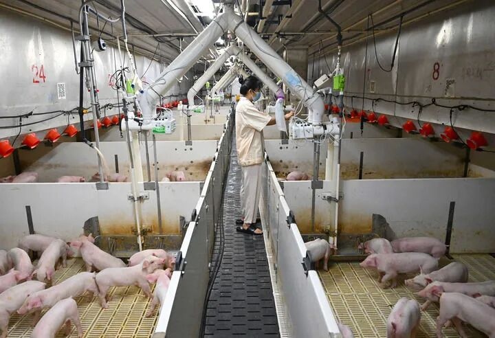 1774578469442814.jpg 图片17.jpg