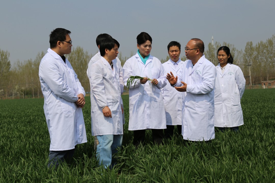 1775540467184231.jpg 图片1.jpg