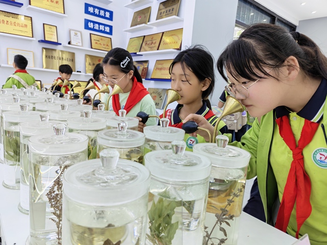 图片3.jpg