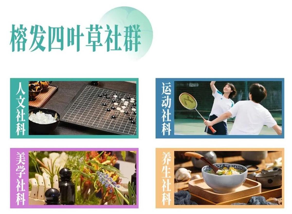 image8_看图王.jpeg
