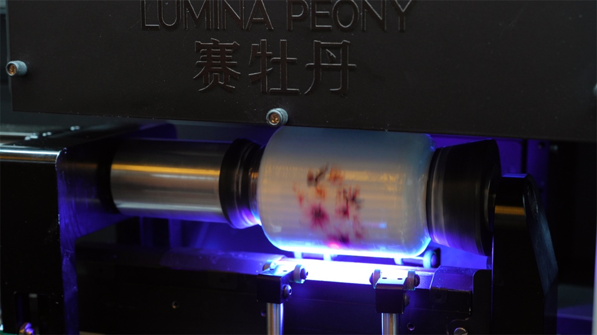 image3.jpg
