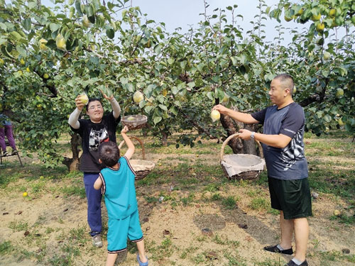 图片1.jpg